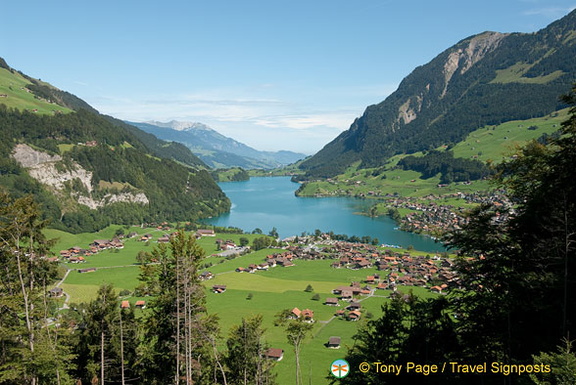 Lucerne (1147 visitas) Lucerne