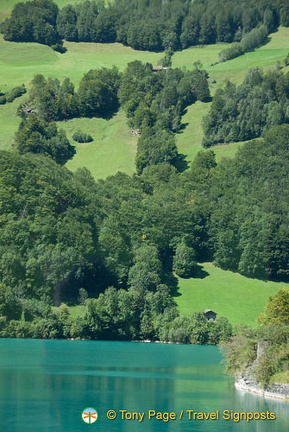 Lucerne (1135 visitas) Lucerne