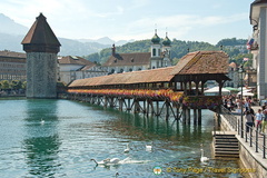 Lucerne