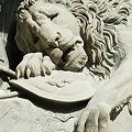 Lucerne