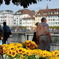Lucerne