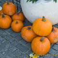 Murten