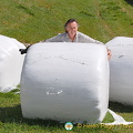 Tony trying to move these elephant toilet rolls