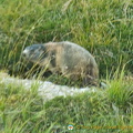 St Moritz (978 visites) St Moritz