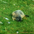 DSC_3607.jpg