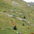 DSC_3610.jpg