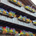 Colourful floral baskets at this Zermatt chalet