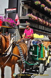 A Zermatt sightseeing horse ride