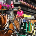 A Zermatt sightseeing horse ride