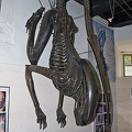 HR Giger Museum - Gruyères