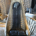 HR Giger Museum Bar - Gruyères