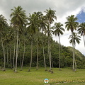 Most of these pix are in the district nearby to our beach hut
Moorea, Tahiti