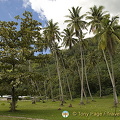 Moorea, Tahiti