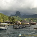 Moorea, Tahiti (1080 visits) Moorea, Tahiti Moorea, Tahiti