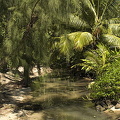 Moorea, Tahiti