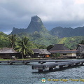 Moorea, Tahiti