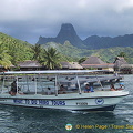 Moorea, Tahiti