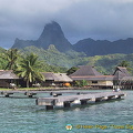 Moorea, Tahiti