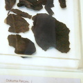 DSC 5413