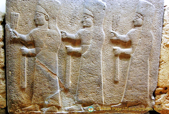 DSC 5464