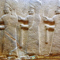 DSC 5464