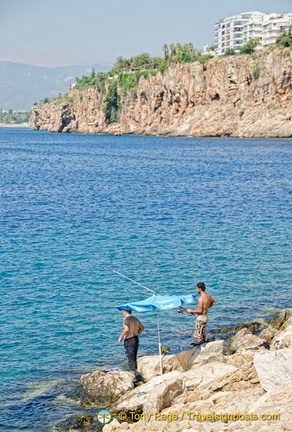 AJP 1191 (1591 visits) AJP 1191