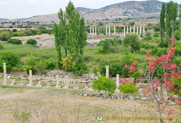 View of Aphrodisias site