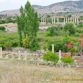 View of Aphrodisias site