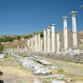 Via Tecta was the colonnaded and paved sacred way