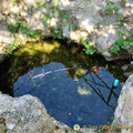 Spring water pond, but unfortunately with litter in it