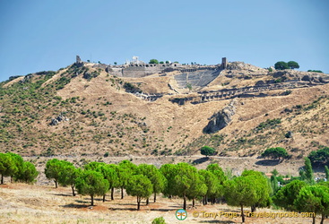Pergamon on the hill
