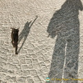 Making shadows