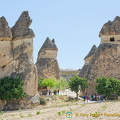 Some of these fairy chimneys are about 40 metres high