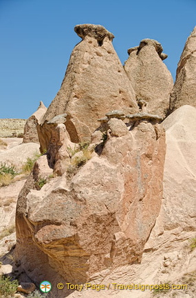 This group of fairy chimneys is call The Family (2091 visits) This group of fairy chimneys is call The Family