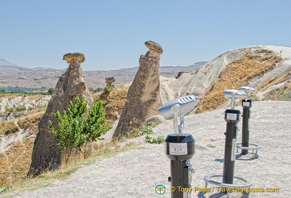 AJP 0780-2 (2277 visits) AJP 0780-2