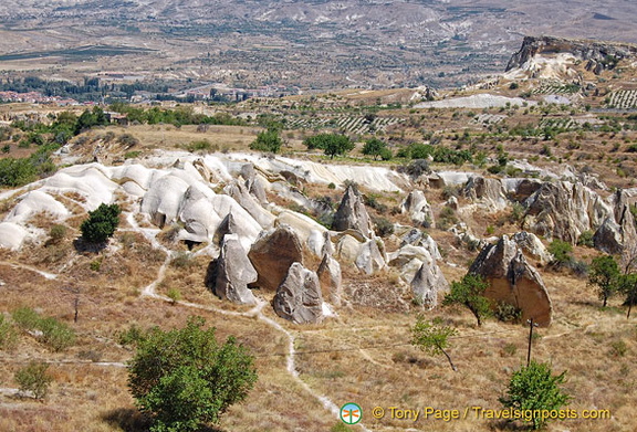 DSC 5705 (2202 visits) DSC 5705