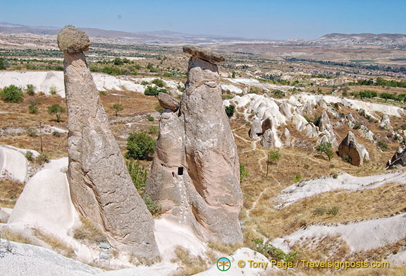 DSC 5708 (2344 visits) DSC 5708