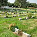 The graves of Indian soldiers are set apart from others, a bit sad!
