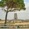 Lone pine and Lone Pine Memorial