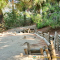 Gallipoli trenches