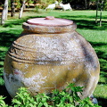 DSC 5385