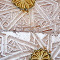 DSC 5542