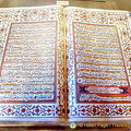 DSC 5563