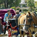 Around Sultan Ahmet, the Blue Mosque and Hagia Sofia, Istanbul, Turkey