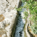AJP 1495