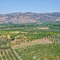 Agricultural land in Ephesus