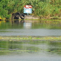 Kherson and Fisherman's Island (1204 visitas) Kherson and Fisherman's Island