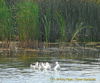 Kherson and Fisherman's Island