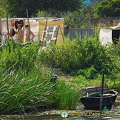 Kherson and Fisherman's Island (被訪問過 1098 次) Kherson and Fisherman's Island