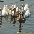 Kherson and Fisherman's Island (被訪問過 894 次) Kherson and Fisherman's Island